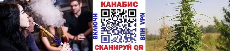 Купить Кингисепп СК  Псилоцибиновые грибы  Бошки Шишки 
