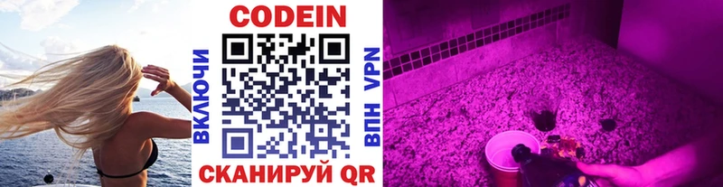 закладка  Кингисепп  Codein Purple Drank 