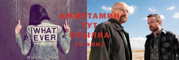 индика Надым