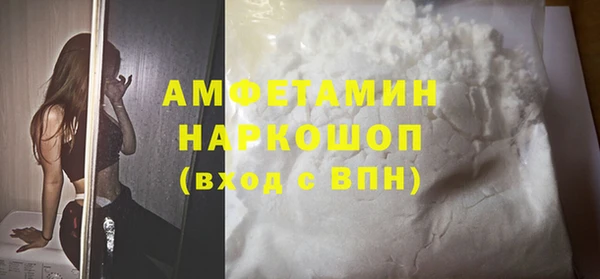 индика Надым