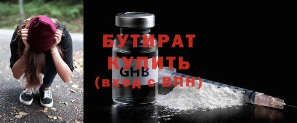 индика Надым