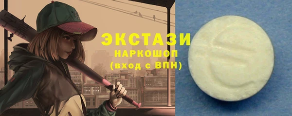 индика Надым