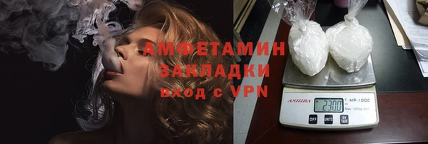 индика Надым