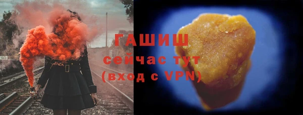индика Надым