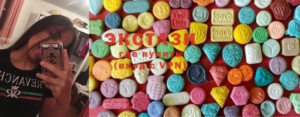 индика Надым