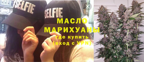 индика Надым