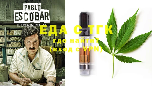индика Надым