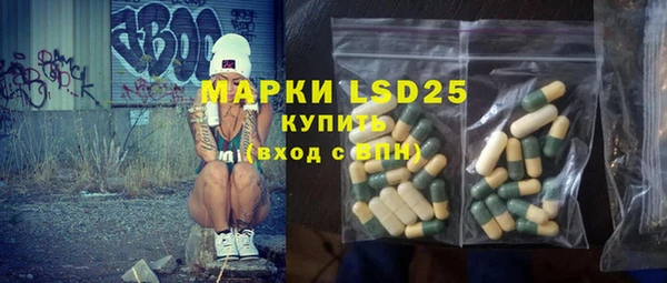 индика Надым