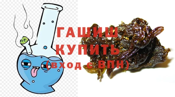 индика Надым