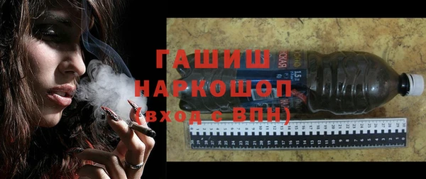 индика Надым
