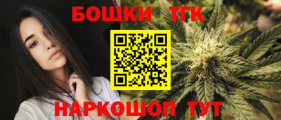 индика Гай