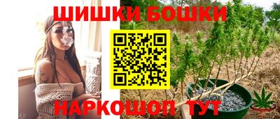 индика Гай