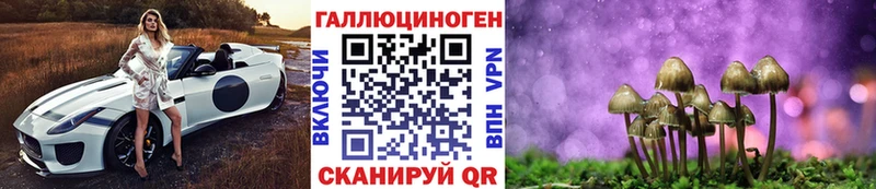 дарнет шоп  Кингисепп  Псилоцибиновые грибы Cubensis 