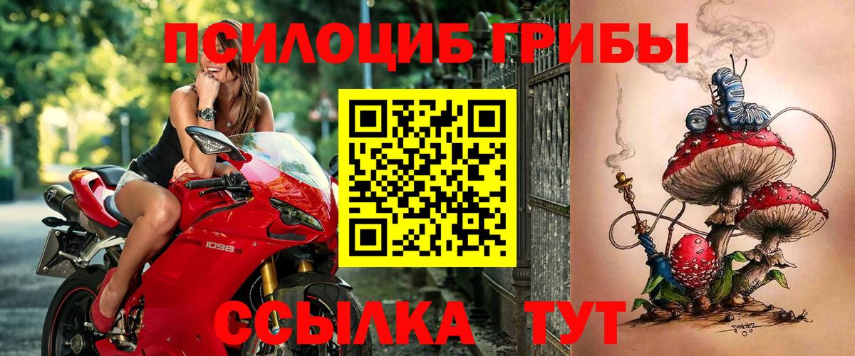 Псилоцибиновые грибы мухоморы  Кингисепп 