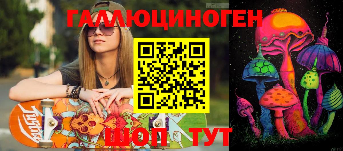 Галлюциногенные грибы Cubensis Кингисепп