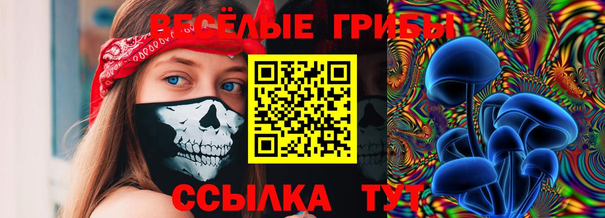 Галлюциногенные грибы Psilocybine cubensis Кингисепп