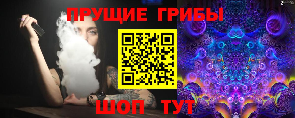 Кингисепп  Псилоцибиновые грибы Psilocybe  Вход с VPN  Псилоцибиновые грибы Magic Shrooms 